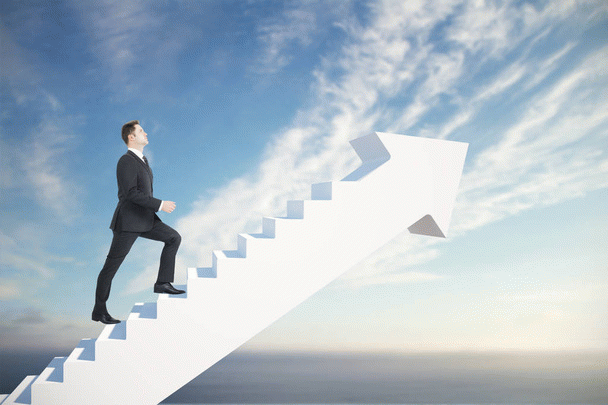 برای انتخاب غذای تشویقی گربه، این ۱۸ نکته را از دست ندهید!